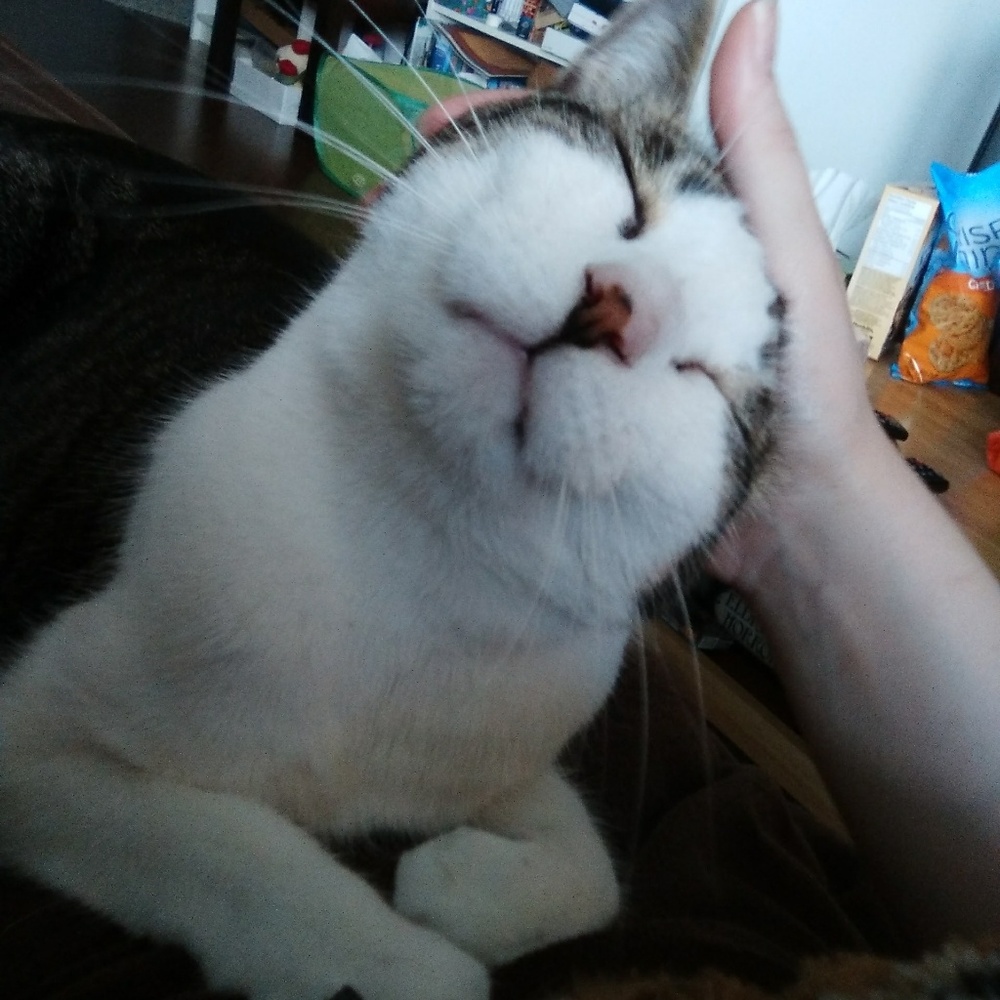 Meet your Posher, Christianne